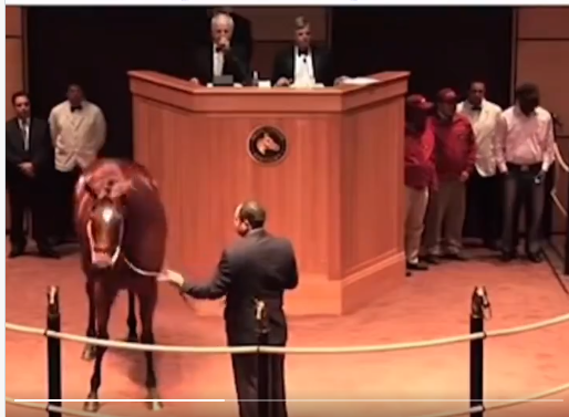 Horse sells for $10 Million at closeout 2011.