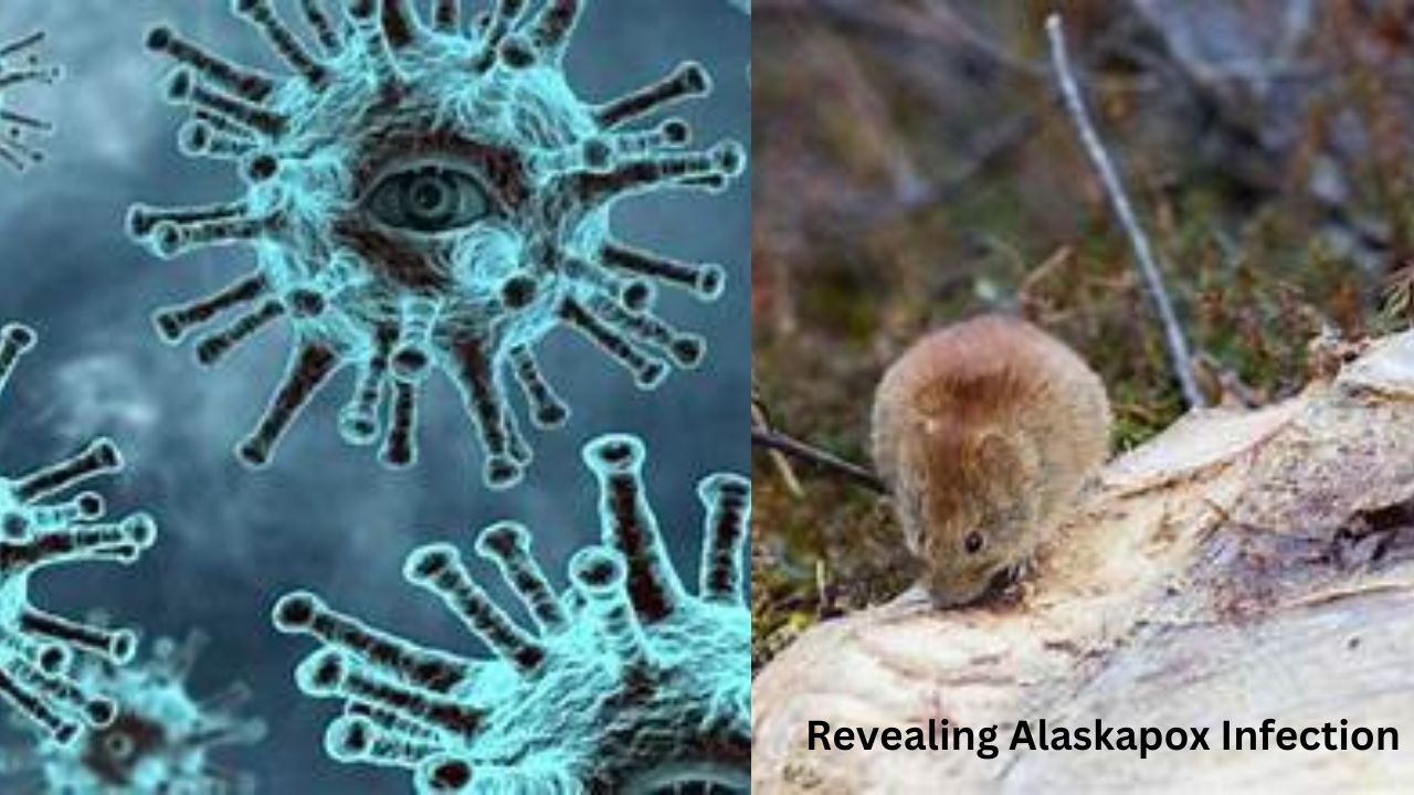 Revealing-Alaska pox-Infection